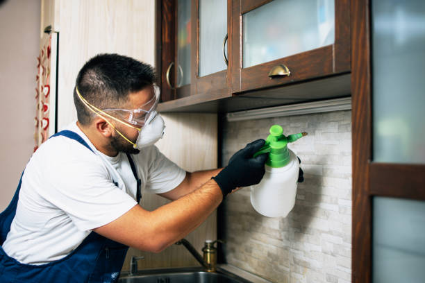 Best Bed Bug Extermination  in Hoer, OK