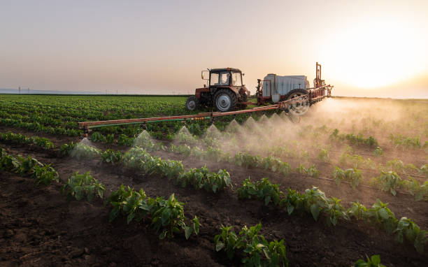 Pest Control Cost in Hooker, OK
