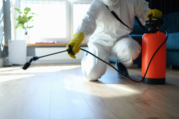 Best Local Pest Control Services  in Hoer, OK