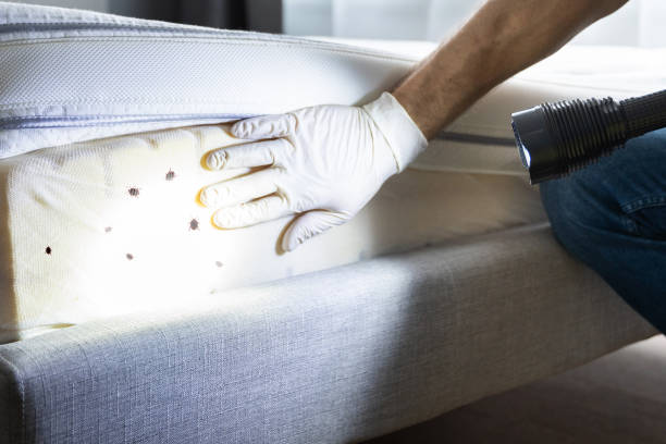 Best Best Pest Control Companies  in Hoer, OK